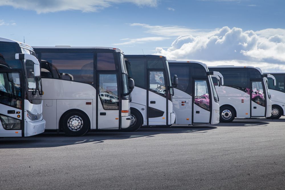 Bus Services